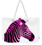 Hot Pink Zebra by Rebecca Margraf