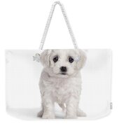 Fuzzy Puppy Weekender Bag
