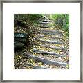 A Walk  To A Mysterious Place Framed Print