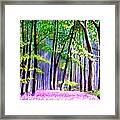 Bluebells Wood Framed Print