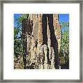 Cathedral Termite Mound Australia Framed Print