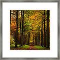 Footpath Carpet Framed Print