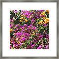 Hot Color Patches Framed Print