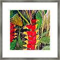 In The Middle Of The Brushwoods Framed Print