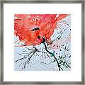 Lonely Poppy Framed Print