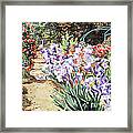 Monet's Garden Walk Framed Print