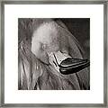 Napping On Flamingo Feathers Framed Print