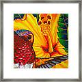 Rufous Hummingbird - Exotic Bird Framed Print