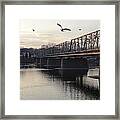 Gulls At The Bridge In January Framed Print