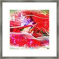 The Flowers Of Fiery Red In Abstract Concept Framed Print