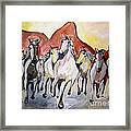 Wild Mustangs Framed Print