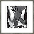 001 Shadows Framed Print