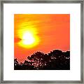 0601 Sunrise Over Silhouette Trees Framed Print