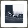 ... #1 Framed Print