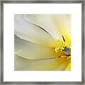 A Touch Of Elegance #3 Framed Print