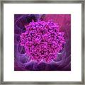 Adeno-associated Virus 2 Capsid #1 Framed Print