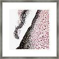 Aflatoxin Fungal Plant Infection #1 Framed Print