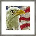 American Eagle #1 Framed Print