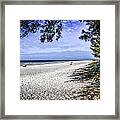 Anna Maria Island #1 Framed Print