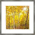 Aspen Morning #1 Framed Print