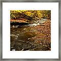 Autumn And Creek #1 Framed Print