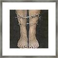 Barbed Wire #1 Framed Print