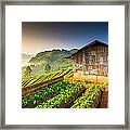 Beautiful Sunshine At Misty Morning #1 Framed Print