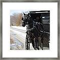 Black Beauty #2 Framed Print