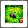 Black #1 Framed Print