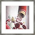 Blood Vessel With Cells #8 Framed Print