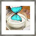 Blue Morpho Butterfly Iridescence #1 Framed Print