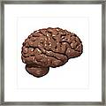 Brain Made Of Chocolate #1 Framed Print