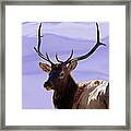 Bull Elk Freehand #1 Framed Print