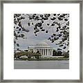 Cherry Blossoms With Jefferson Memorial - Washington Dc - 01137 #1 Framed Print