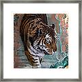 Copper Tiger I  #1 Framed Print