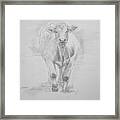 Cow Drawing #1 Framed Print