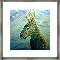 Deer At Home Framed Print