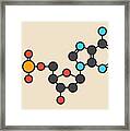 Deoxyadenosine Molecule #1 Framed Print