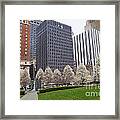 Downtown Pittsburgh In The Spring #1 Framed Print