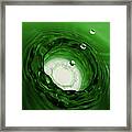 Emerald Drops 8x10 #1 Framed Print