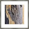 Australia - Eucalyptus Bark Framed Print