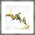 European Bee-eaters #1 Framed Print