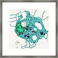 Fibroblast #1 Framed Print