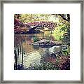 Gapstow Bridge In Central Park New York #1 Framed Print