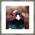 Gaze #4 Framed Print