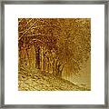 Golden Landscape Framed Print