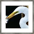 Great Catch #1 Framed Print