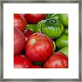 Green And Red Tomatoes #1 Framed Print