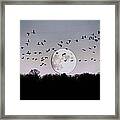 Guided By The Moon #1 Framed Print