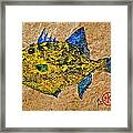 Gyotaku - Triggerfish - Queen Triggerfish #3 Framed Print